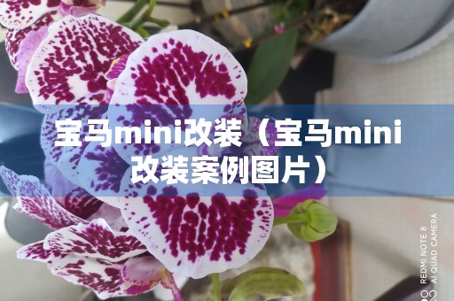 宝马mini改装（宝马mini改装案例图片）