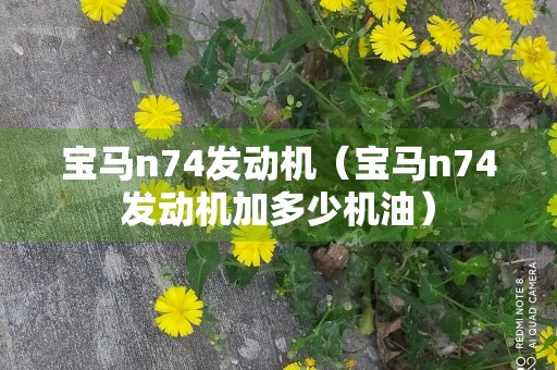 宝马n74发动机（宝马n74发动机加多少机油）