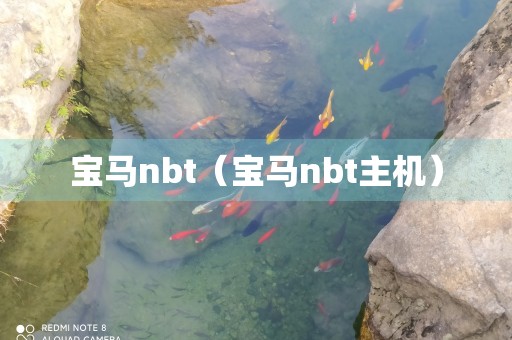 宝马nbt（宝马nbt主机）