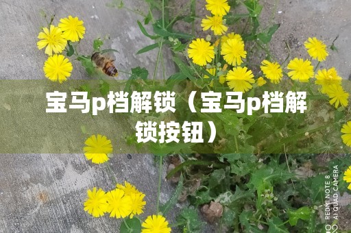 宝马p档解锁（宝马p档解锁按钮）