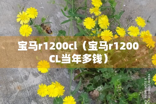 宝马r1200cl（宝马r1200CL当年多钱）