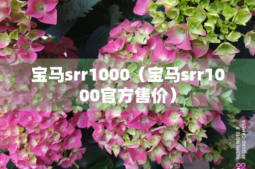 宝马srr1000（宝马srr1000官方售价）