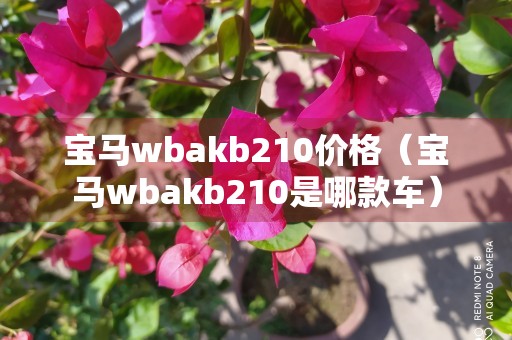 宝马wbakb210价格（宝马wbakb210是哪款车）