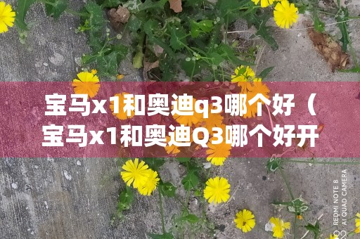 宝马x1和奥迪q3哪个好（宝马x1和奥迪Q3哪个好开?）