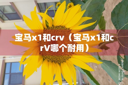 宝马x1和crv（宝马x1和crV哪个耐用）