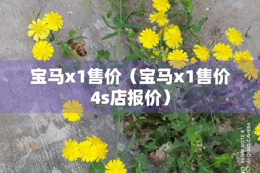 宝马x1售价（宝马x1售价4s店报价）