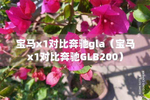 宝马x1对比奔驰gla（宝马x1对比奔驰GLB200）