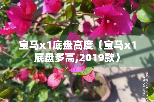 宝马x1底盘高度（宝马x1底盘多高,2019款）