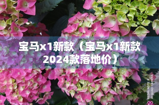 宝马x1新款（宝马x1新款2024款落地价）