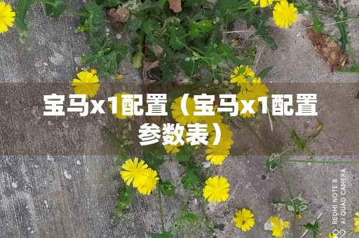 宝马x1配置（宝马x1配置参数表）