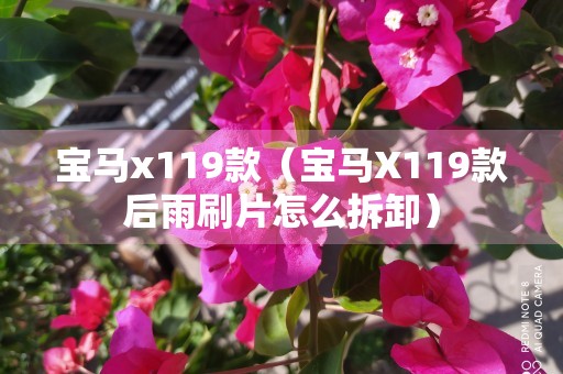 宝马x119款（宝马X119款后雨刷片怎么拆卸）