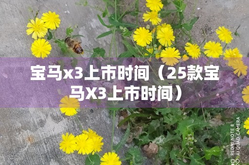 宝马x3上市时间（25款宝马X3上市时间）