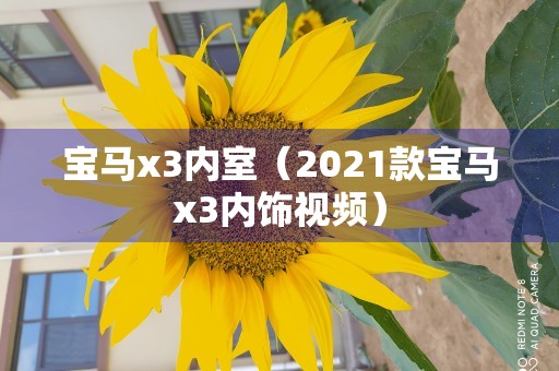 宝马x3内室（2021款宝马x3内饰视频）