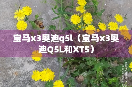 宝马x3奥迪q5l（宝马x3奥迪Q5L和XT5）