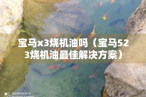 宝马x3烧机油吗（宝马523烧机油最佳解决方案）