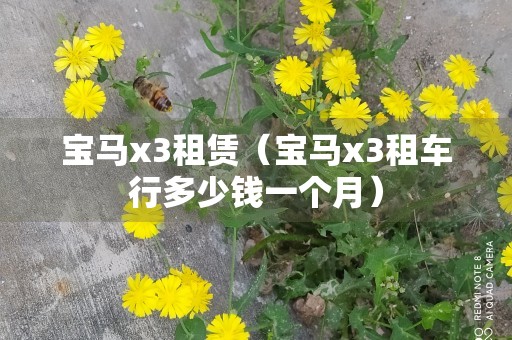 宝马x3租赁（宝马x3租车行多少钱一个月）