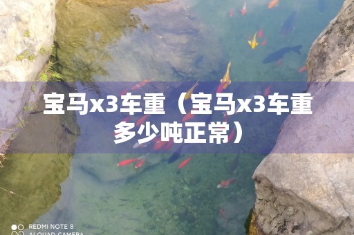 宝马x3车重（宝马x3车重多少吨正常）