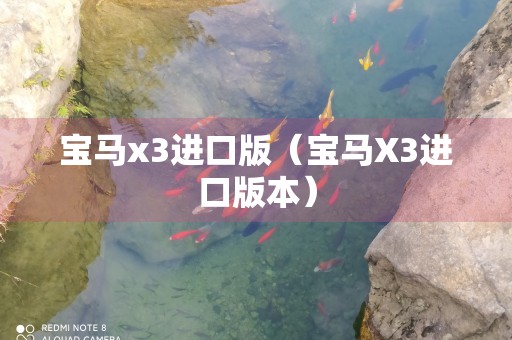 宝马x3进口版（宝马X3进口版本）