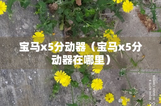 宝马x5分动器（宝马x5分动器在哪里）