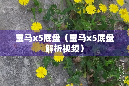 宝马x5底盘（宝马x5底盘解析视频）