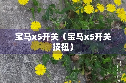 宝马x5开关（宝马x5开关按钮）