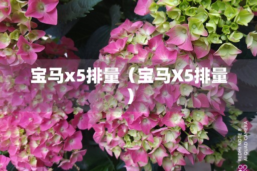 宝马x5排量（宝马X5排量）