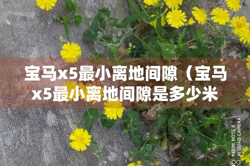 宝马x5最小离地间隙（宝马x5最小离地间隙是多少米）