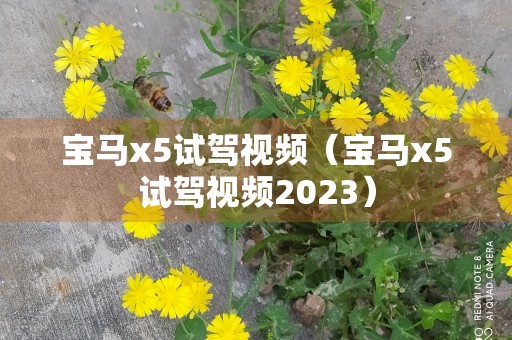 宝马x5试驾视频（宝马x5试驾视频2023）