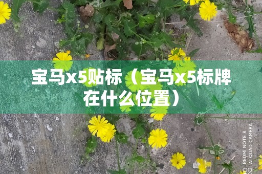 宝马x5贴标（宝马x5标牌在什么位置）