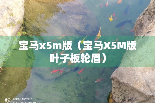 宝马x5m版（宝马X5M版叶子板轮眉）