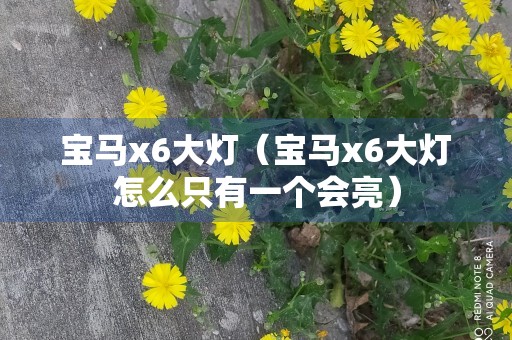 宝马x6大灯（宝马x6大灯怎么只有一个会亮）