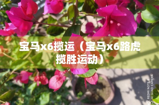 宝马x6揽运（宝马x6路虎揽胜运动）