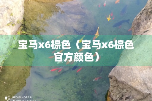 宝马x6棕色（宝马x6棕色官方颜色）