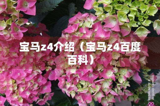 宝马z4介绍（宝马z4百度百科）