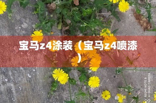 宝马z4涂装（宝马z4喷漆）