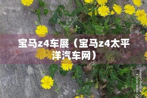 宝马z4车展（宝马z4太平洋汽车网）