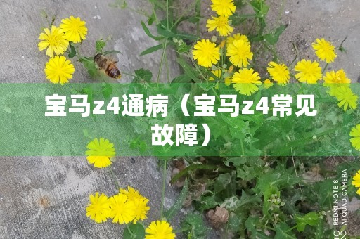 宝马z4通病（宝马z4常见故障）