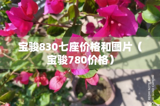 宝骏830七座价格和图片（宝骏780价格）