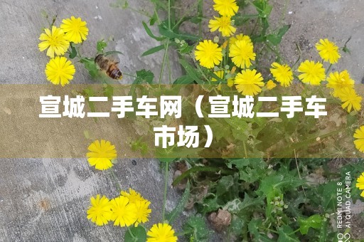 宣城二手车网（宣城二手车市场）