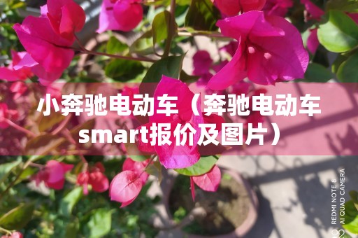 小奔驰电动车（奔驰电动车smart报价及图片）