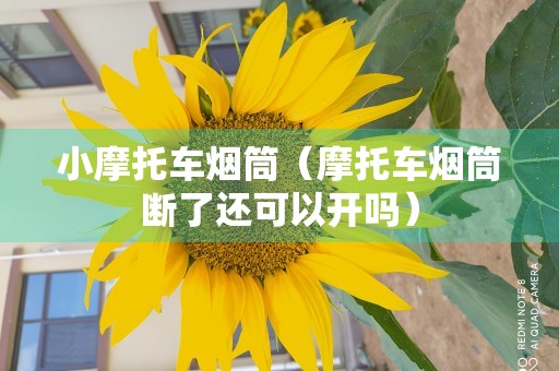 小摩托车烟筒（摩托车烟筒断了还可以开吗）