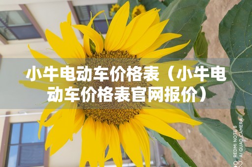 小牛电动车价格表（小牛电动车价格表官网报价）