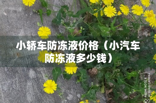 小轿车防冻液价格（小汽车防冻液多少钱）