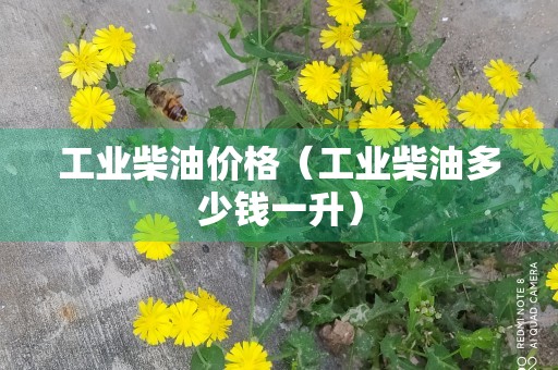 工业柴油价格（工业柴油多少钱一升）