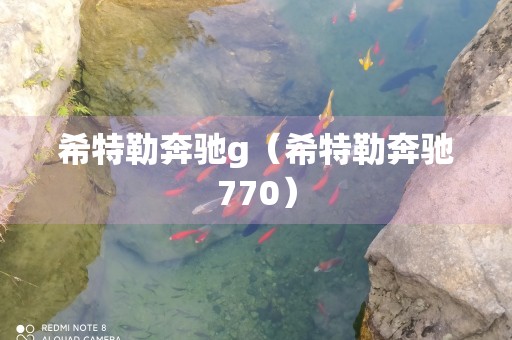 希特勒奔驰g（希特勒奔驰770）