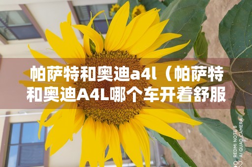 帕萨特和奥迪a4l（帕萨特和奥迪A4L哪个车开着舒服些）