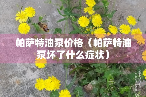 帕萨特油泵价格（帕萨特油泵坏了什么症状）