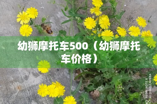 幼狮摩托车500（幼狮摩托车价格）