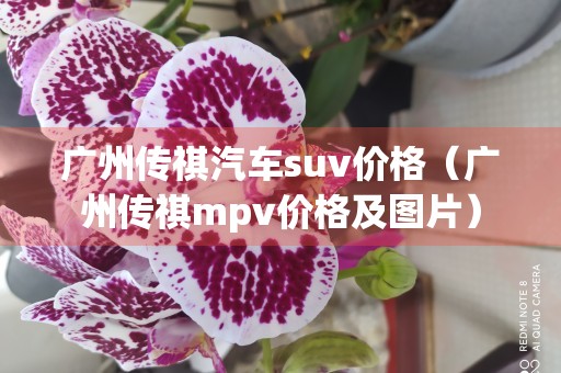 广州传祺汽车suv价格（广州传祺mpv价格及图片）