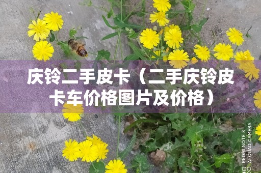 庆铃二手皮卡（二手庆铃皮卡车价格图片及价格）